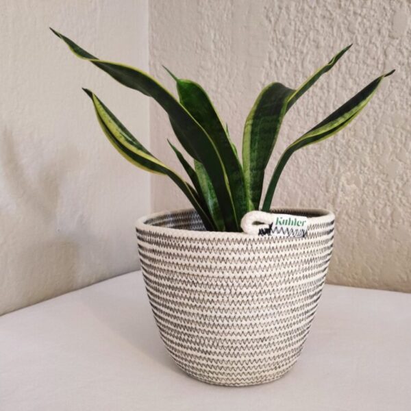 Planter Basket