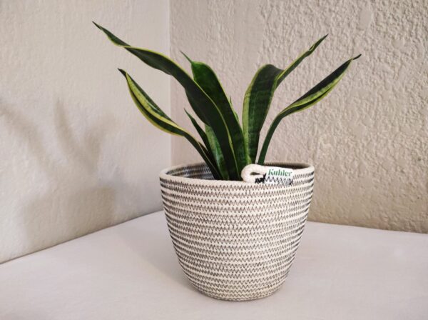 Planter Basket