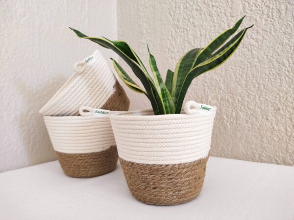 Jute and Cotton Planter - Image 4