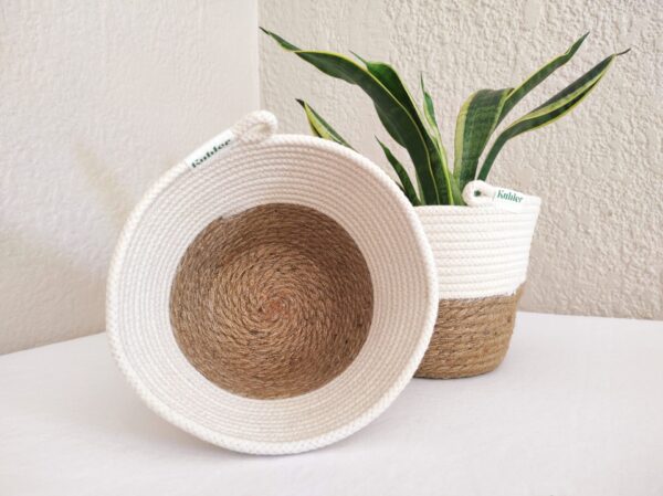 Jute and Cotton Planter